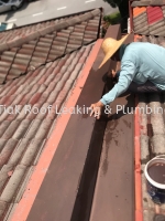 CHON TIAK ROOF LEAKING & PLUMBING WORK