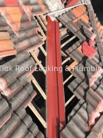 CHON TIAK ROOF LEAKING & PLUMBING WORK