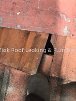 CHON TIAK ROOF LEAKING & PLUMBING WORK