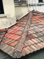 CHON TIAK ROOF LEAKING & PLUMBING WORK