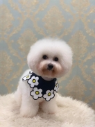 May 2019 Dog Grooming Works