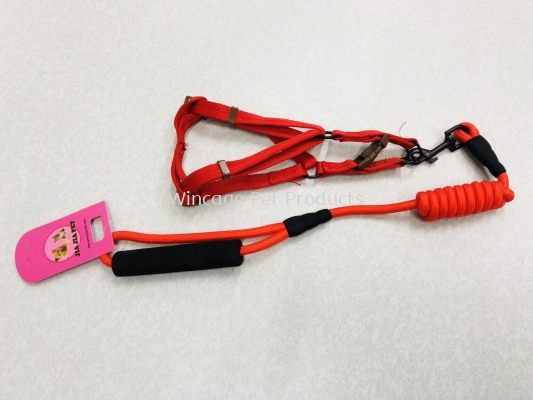 5129-5131 Harness & Leash