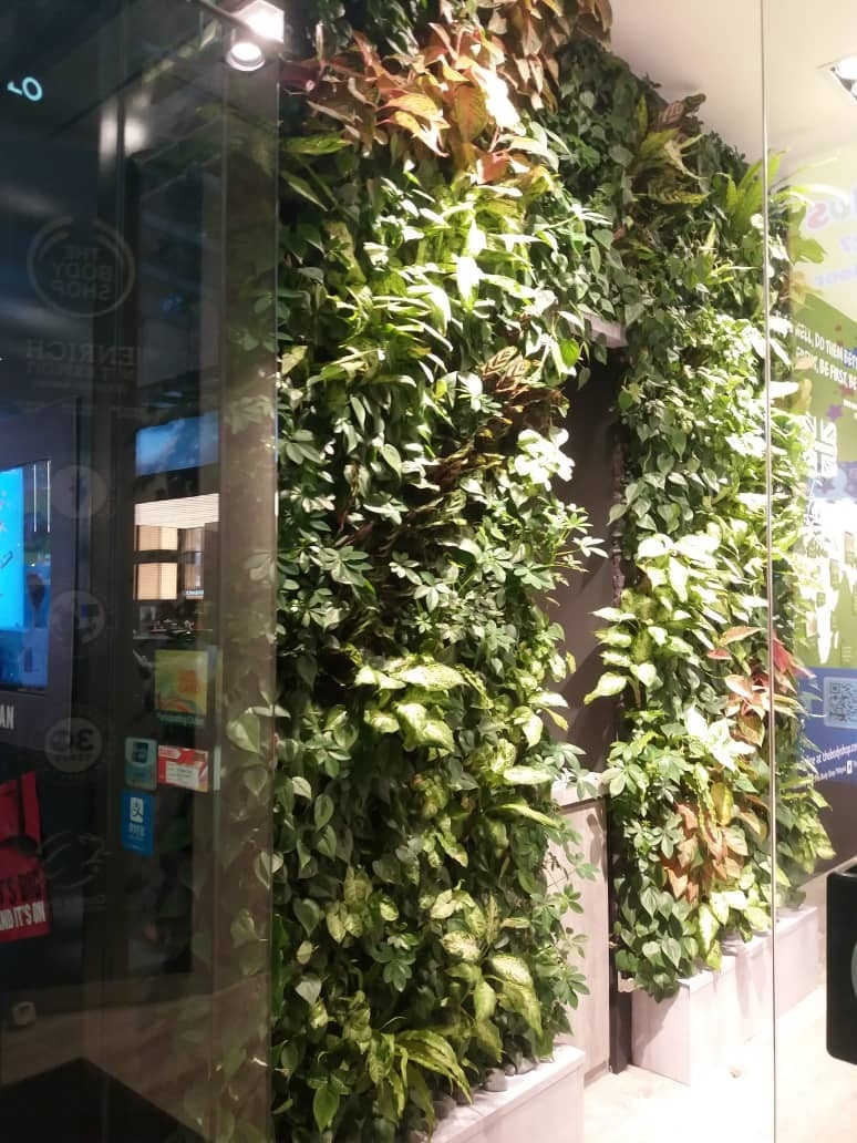 Vertical Garden_the body shop _fahrenheit88_malaysia