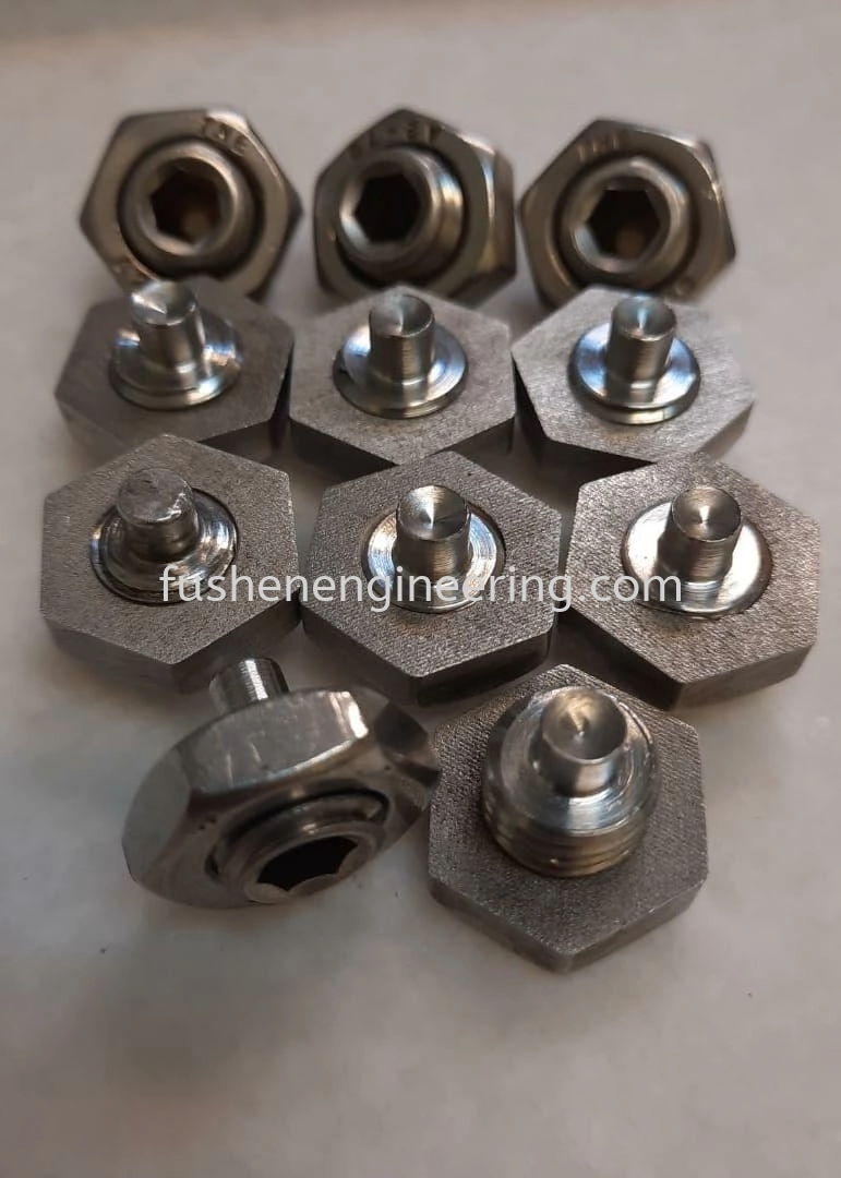 To Machine SS304 Screw & Nut