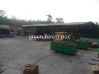 Green Forest Pac Sdn Bhd