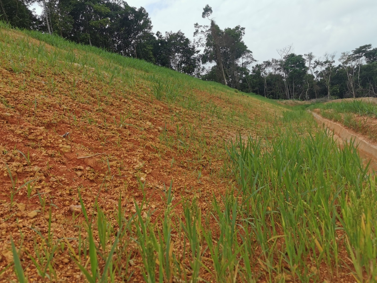 Hydroseeding malaysia