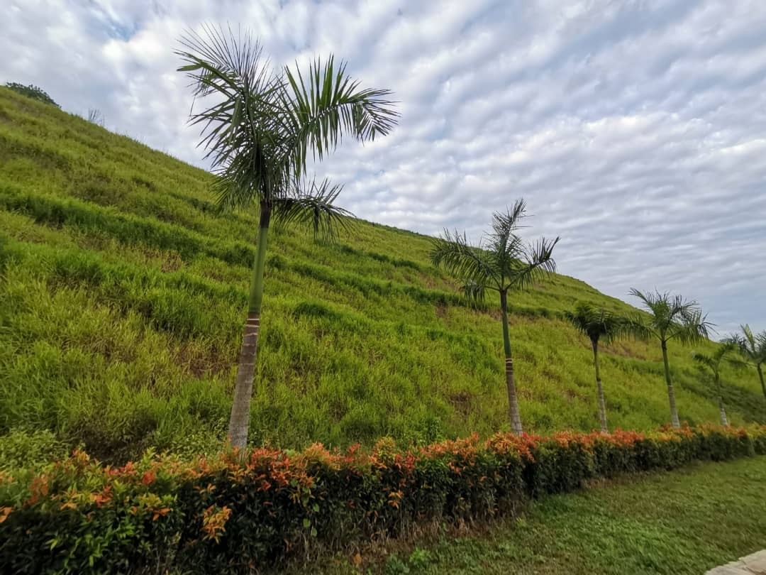 Hydroseeding malaysia