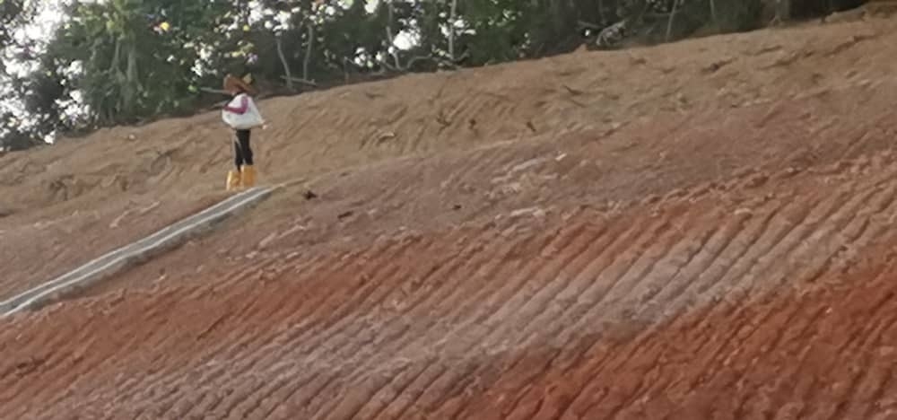 Hydroseeding malaysia