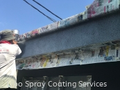 Lipo Spray Coating Services