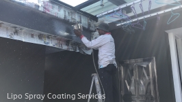 Lipo Spray Coating Services