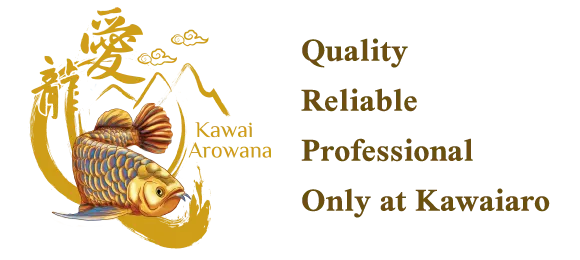 KAWAI AROWANA FARM's logo