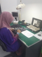 Sanei Electronics Manufacturing Sdn Bhd