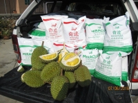 TT Fertilisers Sdn Bhd