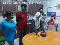 KM GLOBAL ANIMAL HOSPITAL SDN. BHD.