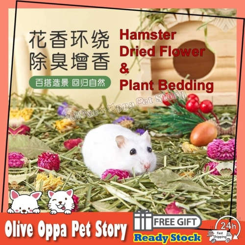 Hamster natural flowers and grass bedding Dried Flower & Plants Bedding Natural Fragrance 仓鼠天然花草垫料 仓鼠垫料