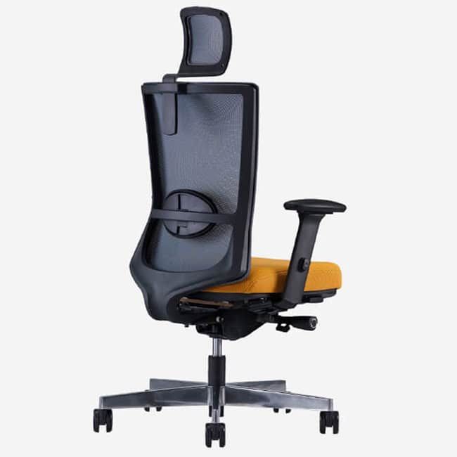 Feliciano Highback Office Ergonomic Chair OFMMA22014-1