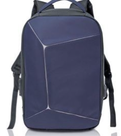 Laptop Back Pack/LT1903