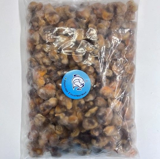 Isi Kerang Kecil 1kg