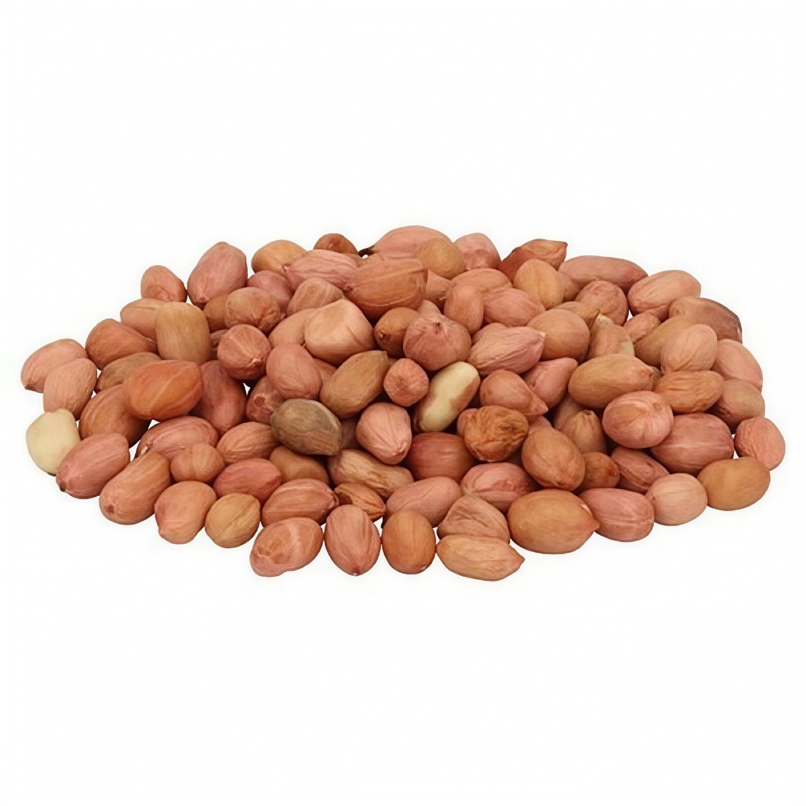 Kacang Tanah India