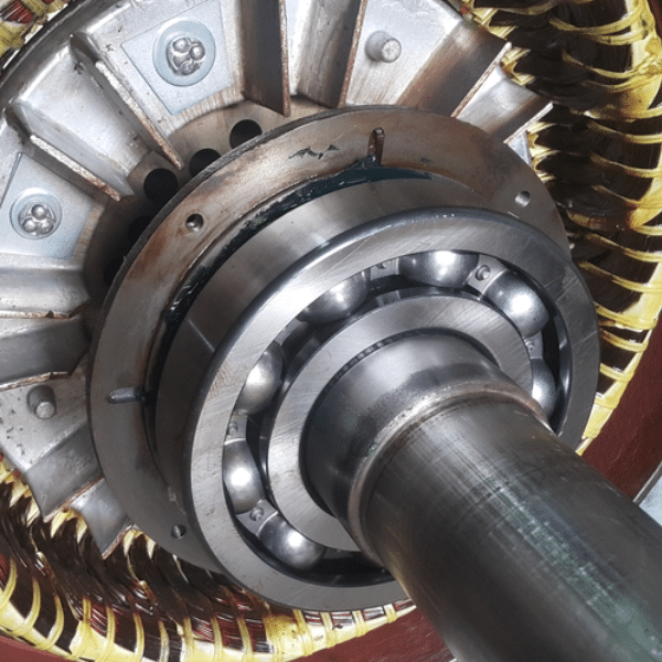 Electric Motor Bearing Load Condition Analysis