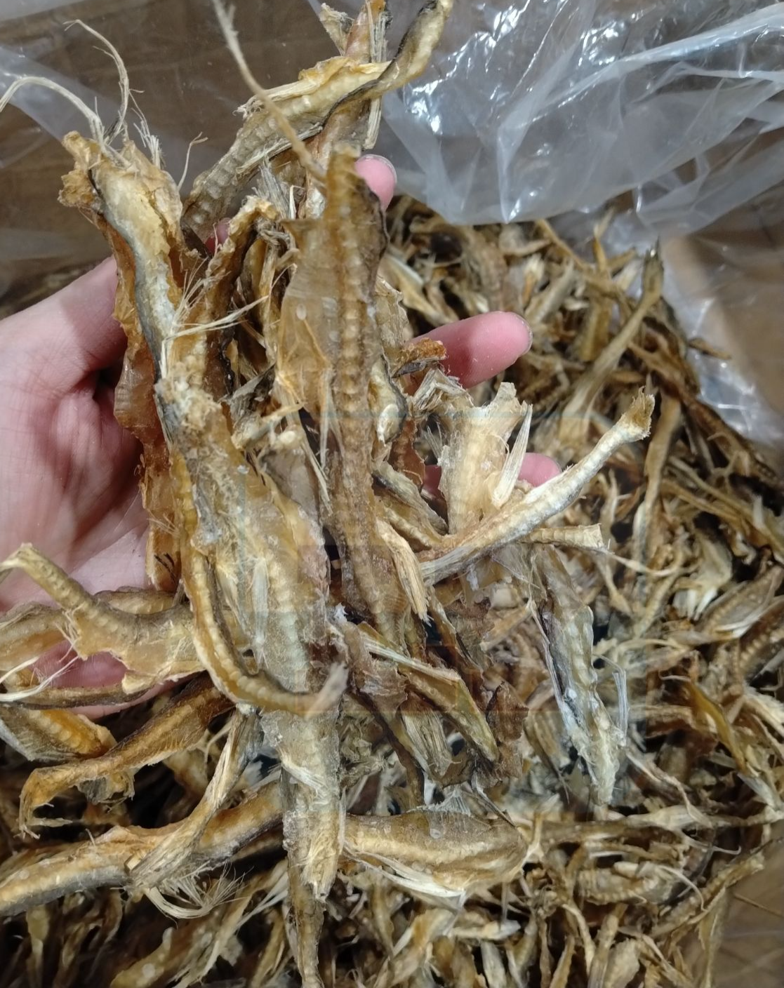 Ikan Masin Lumi Nipis/Siting/Dumi