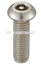 SOCKET BUTTON HEAD SCREW TORX WITH PIN