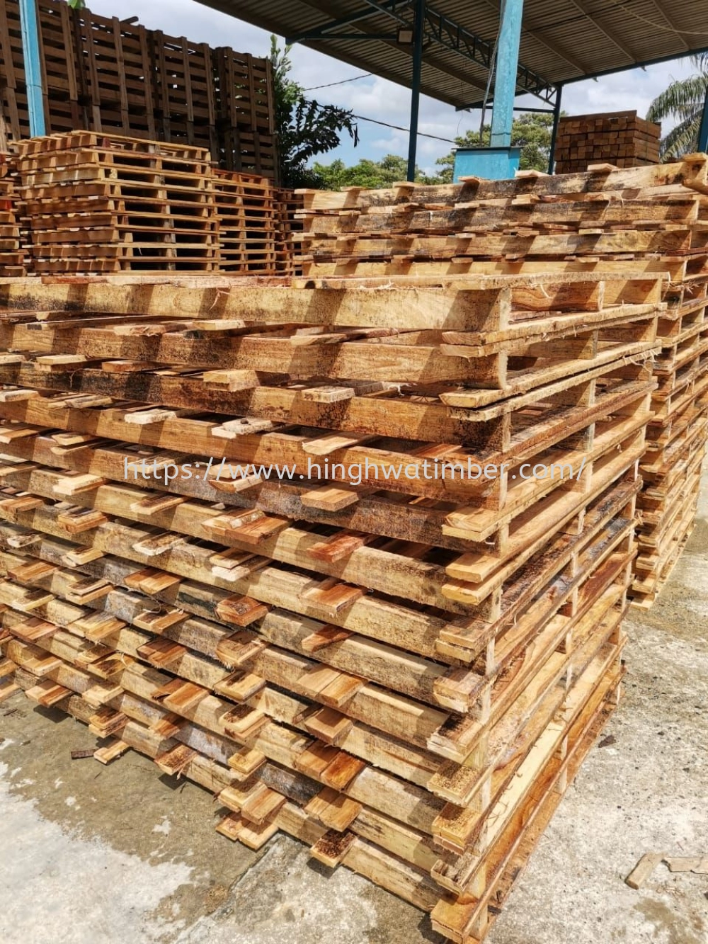 Kayu Pallet  4' x 6'