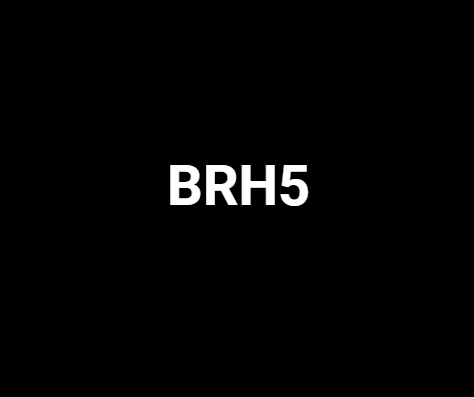 BRH5 - VVIP Single Digit number plate for sale