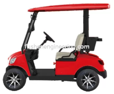 FUSHEN 2 Seater Electric Golf Cart  EEC Approved Model : DS-A2