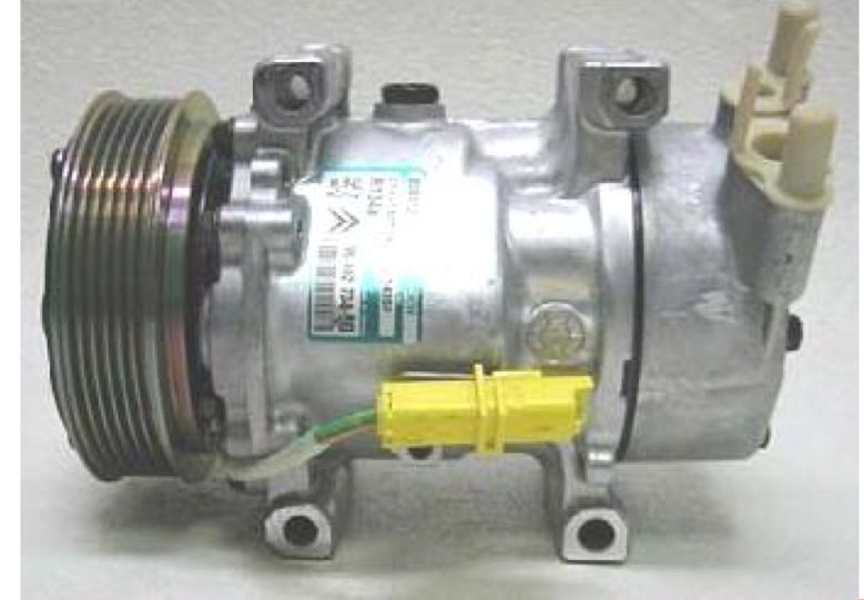 for Peugeot 206/307 (ND) SD6V12 6PK 12V R134a (Re) [PEU 002]