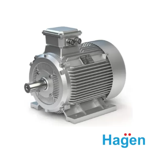 Hagen IE3 Series