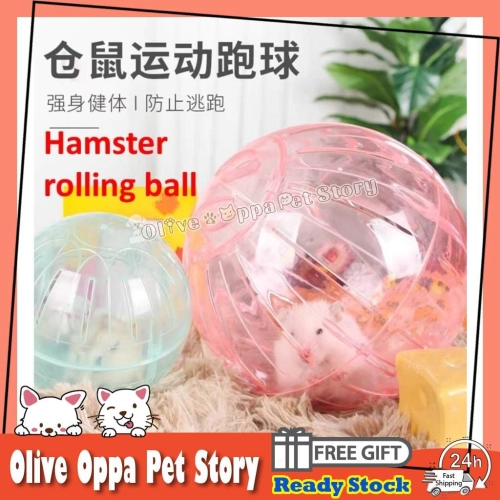 Hamster Exercise ball Hamster rolling ball Mice Running Jogging Ball 10cm & 12cm Bola Senaman Hamster 仓鼠滚球