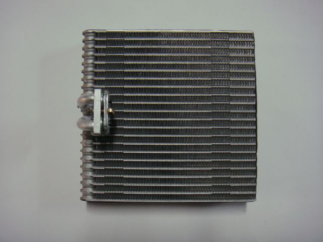 Jinbei (Front) PF (C) [SWJ-CZ-187]