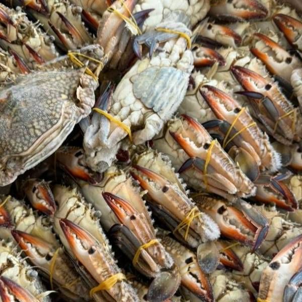 Frozen Ketam Bunga