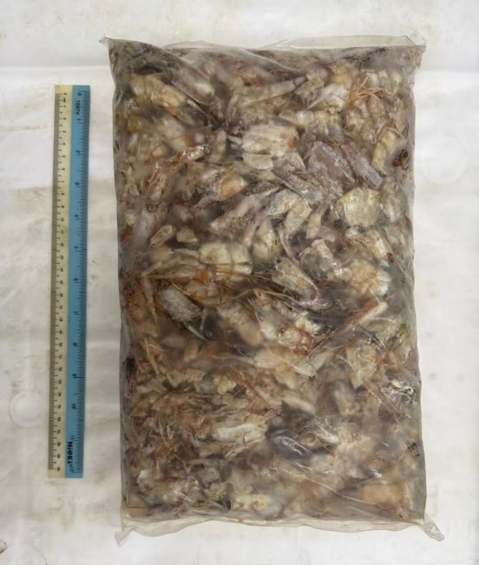Prawn Shell