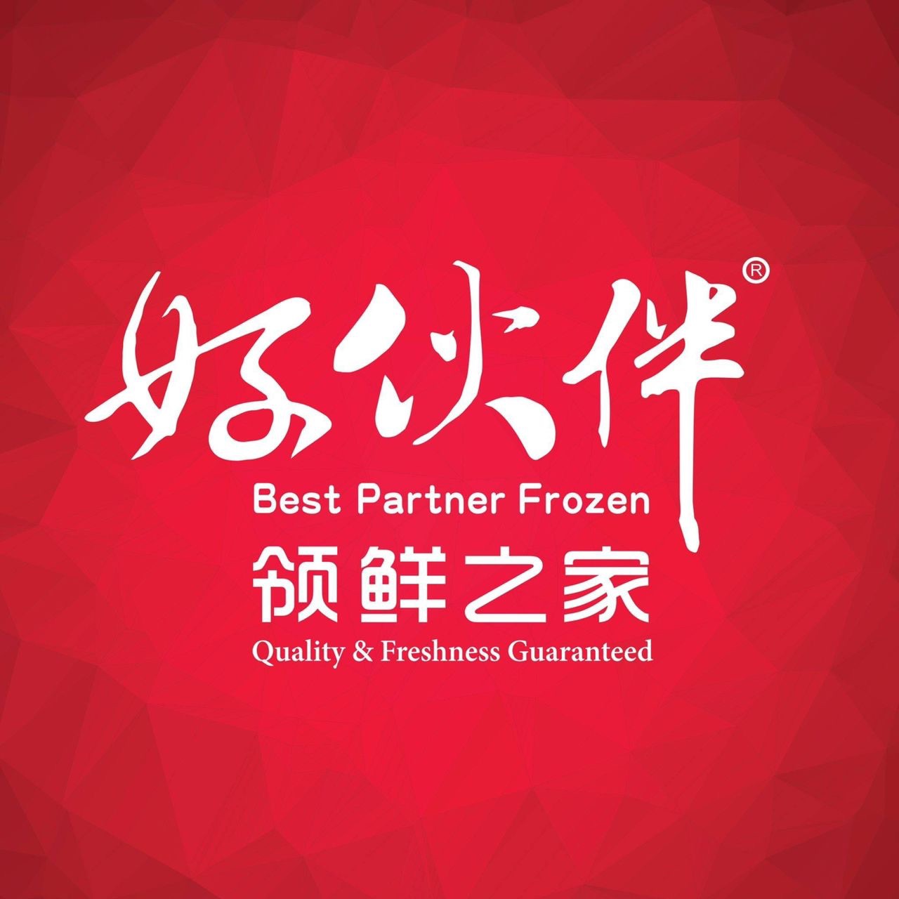 Best Partner Frozen好伙伴