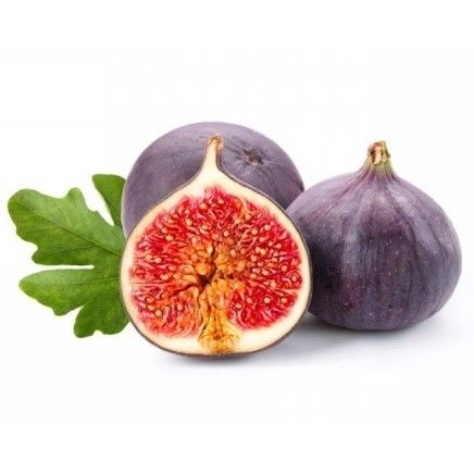 Fig