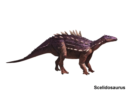 Scelidosaurus