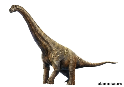 Alamosaurs