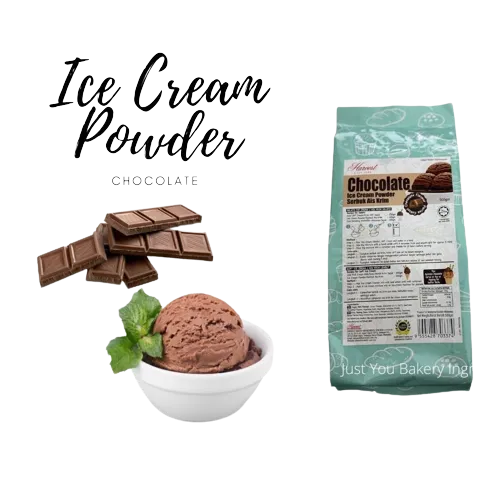 HBI ICE CREAM CHOCOLATE POWDER 500GM / 1 CTN