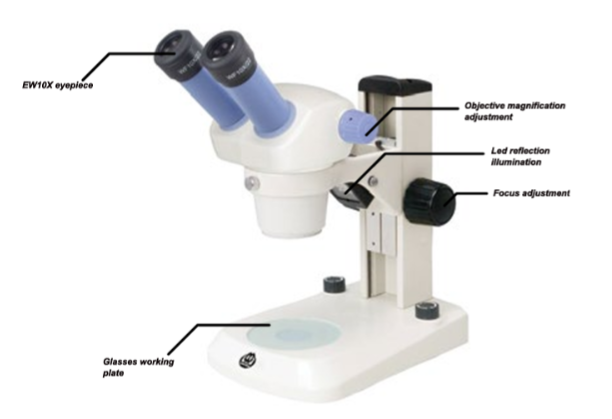 ZOOM STEREOSCOPIC MICROSCOPE (ECO.TYPE) 520-0217