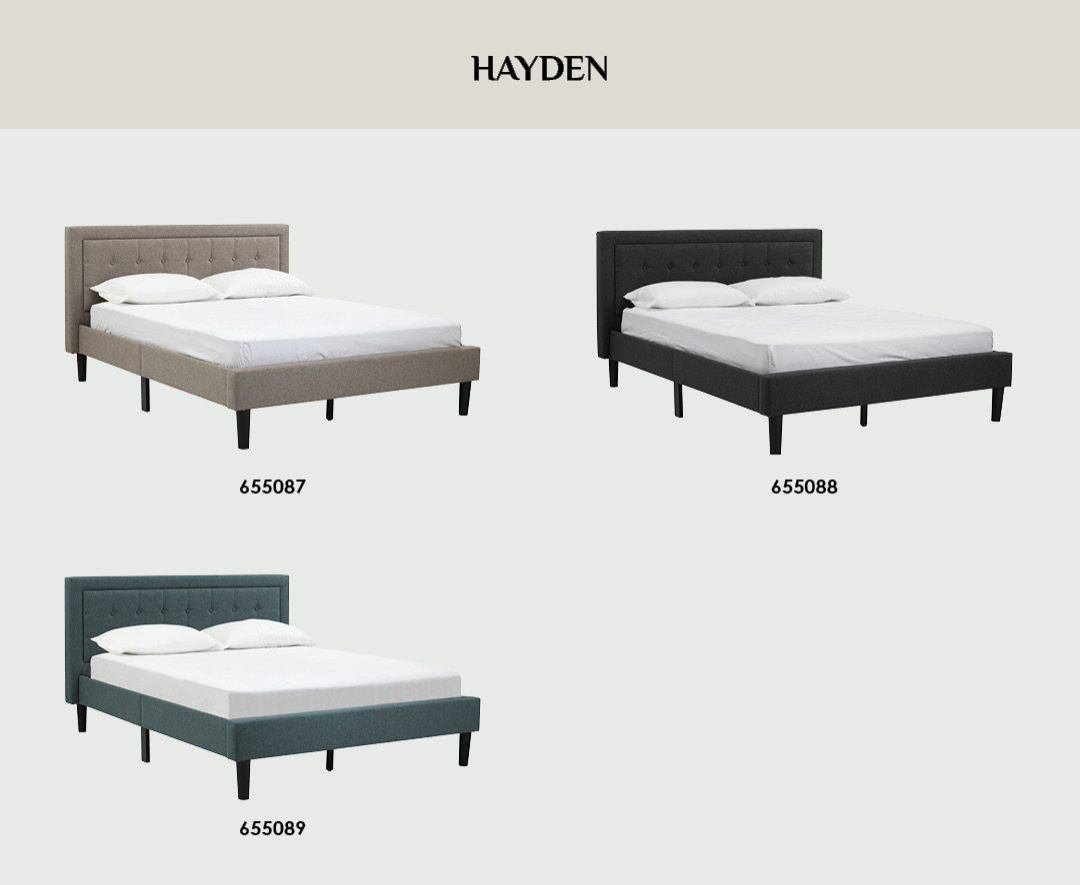 HAYDEN QUEEN BED WITH 1900MM SIDE RAIL BLACK/6513