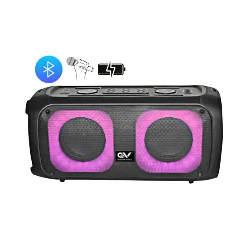 Golden Voice PS-625H Portable Party Speaker