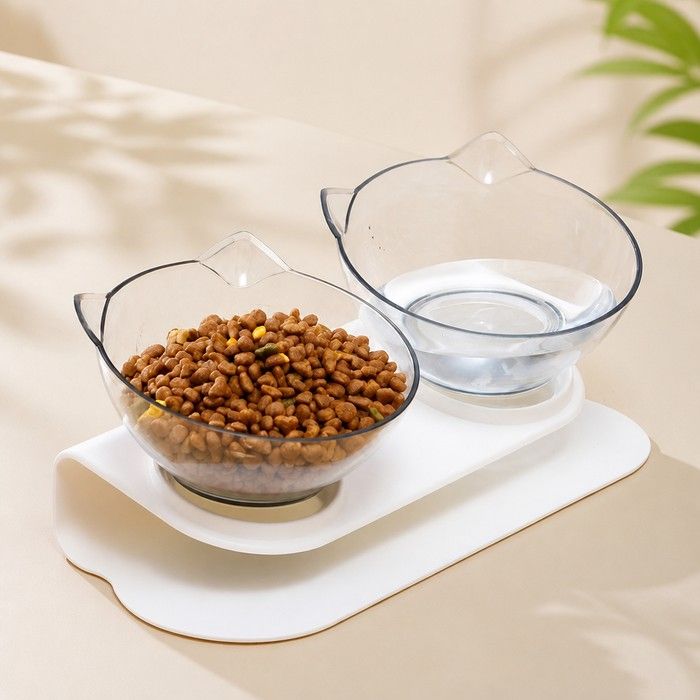 Pet Double Bowl