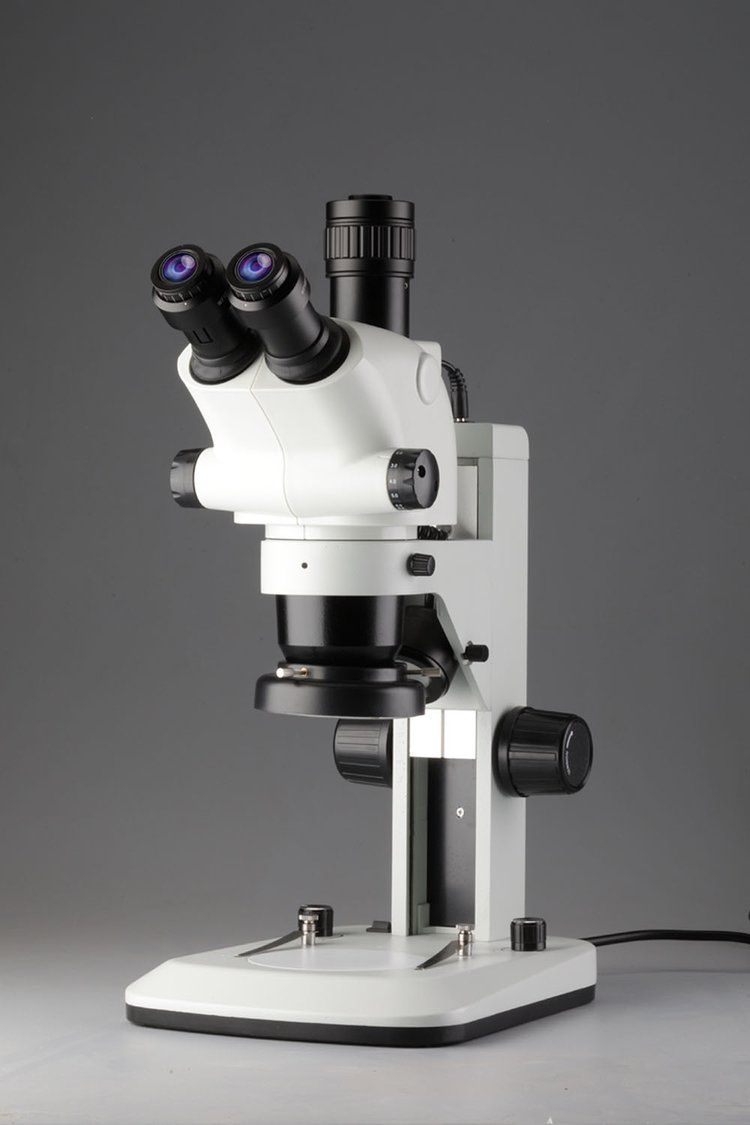 STEREO ZOOM MICROSCOPE