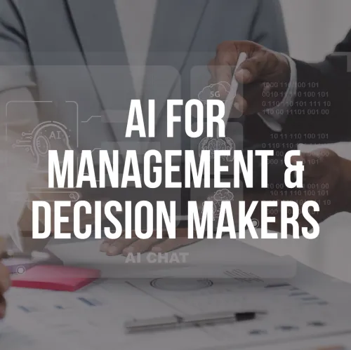 AI For Management & Decision Makers