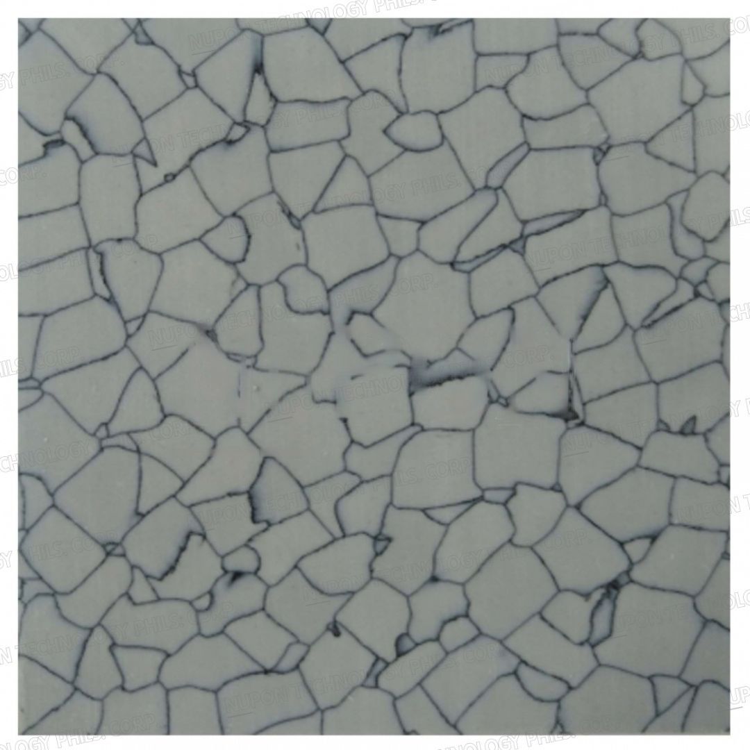 ESD PVC Tiles NS-6606