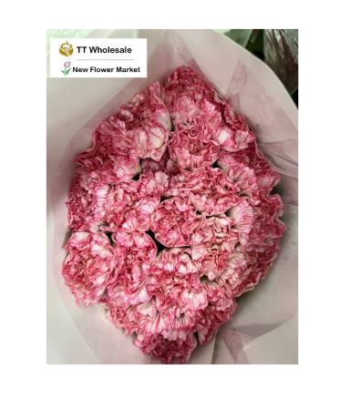 Fresh Carnations for Sale – Long-Lasting Cut Flowers for Any Occasion