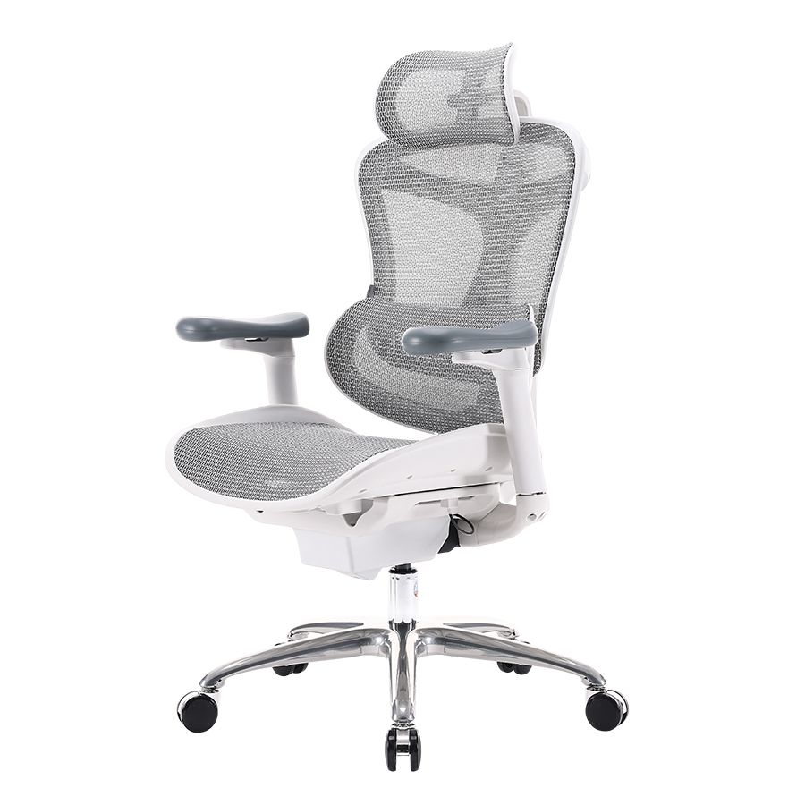 C100 Ergonomic Office Chair