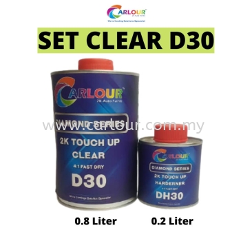 2K Clear 4:1 Fast Dry D30 High Gloss Auto Car Touch Up Paint Easy Polish 1 Liter set CARLOUR PRO